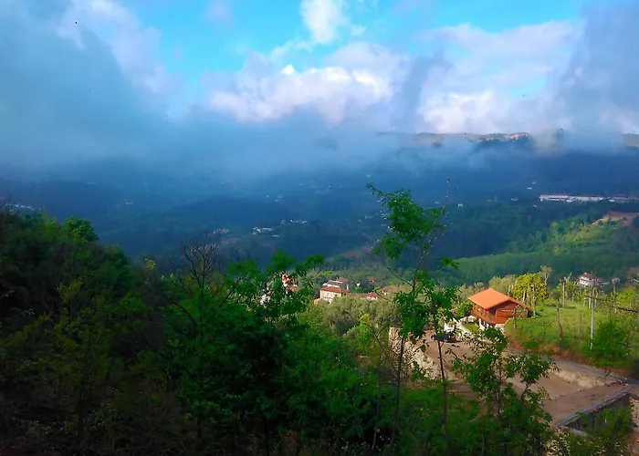 Casa Da Fragoeira * Gandarela de Basto